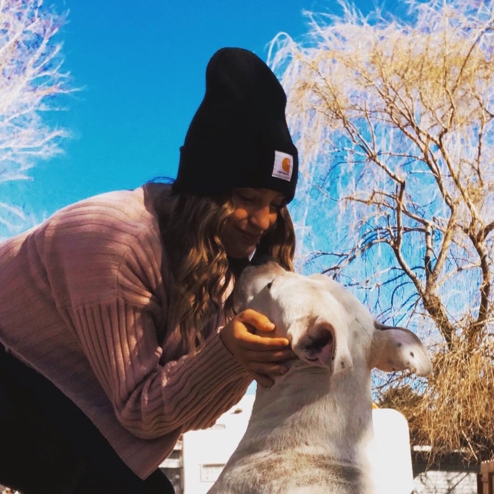 Meet your Posher, Paizlei